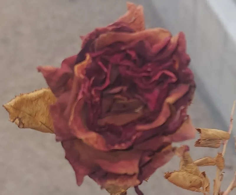 Addicts Helping Addicts - Photo 3