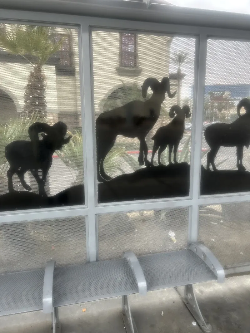 Freedom House Sober Living Las Vegas - Photo 1