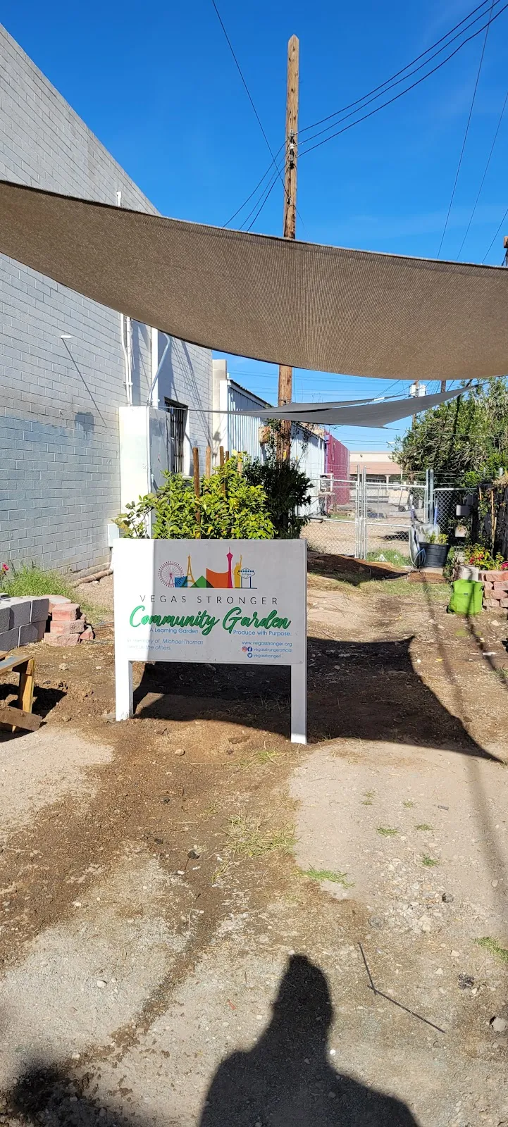 Vegas Stronger - Photo 2