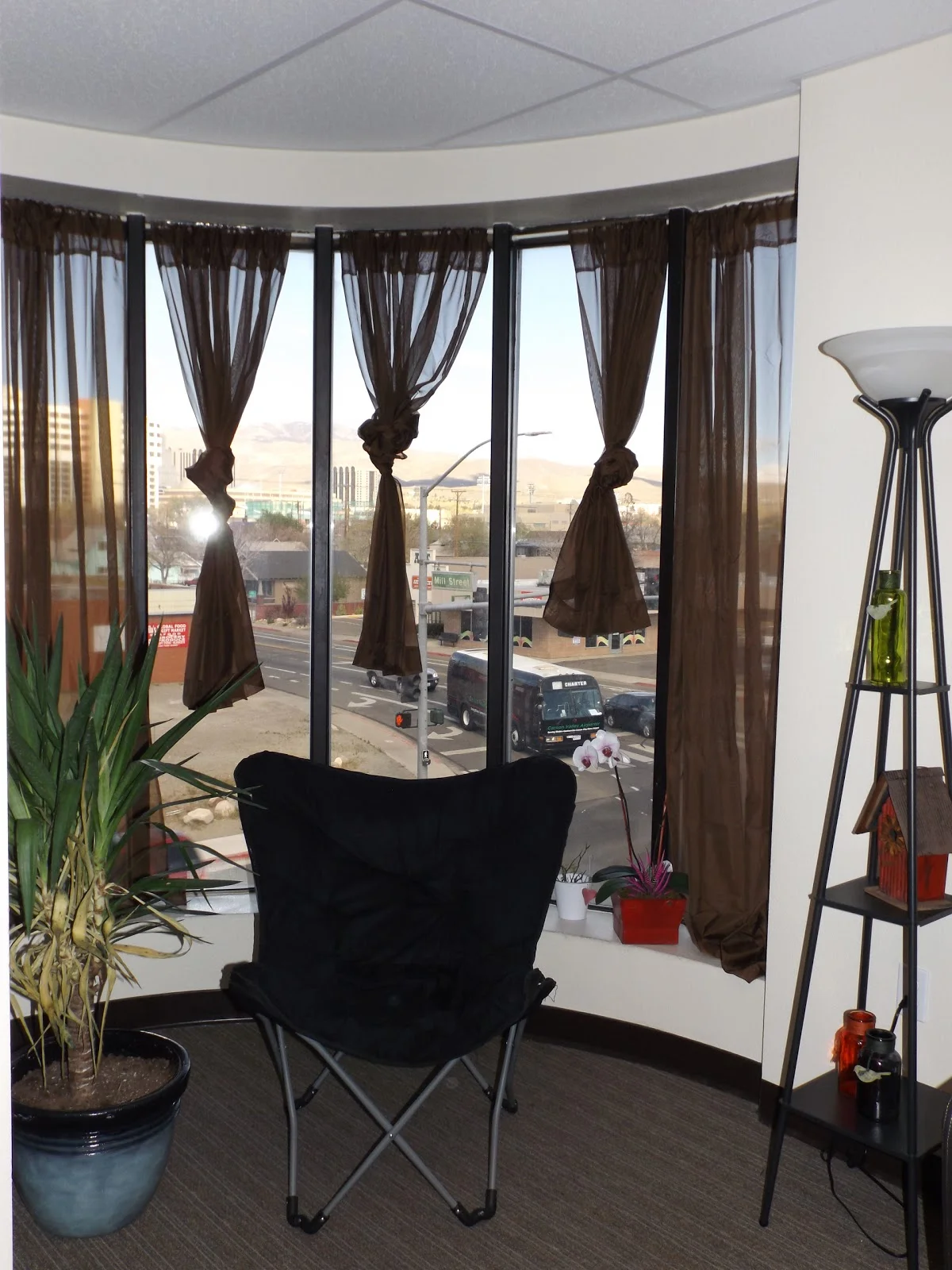 Bristlecone Family Resources - Photo 5