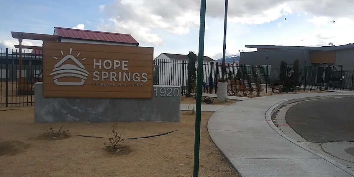 Hope Springs - Photo 4