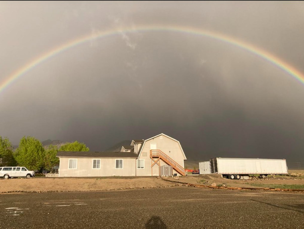 New Life USA - Nevada