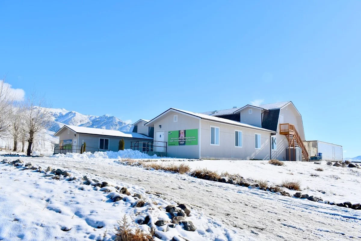 New Life USA - Nevada - Photo 2